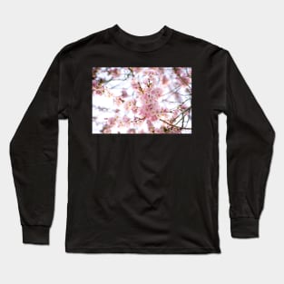 Sakura Blossoms Long Sleeve T-Shirt